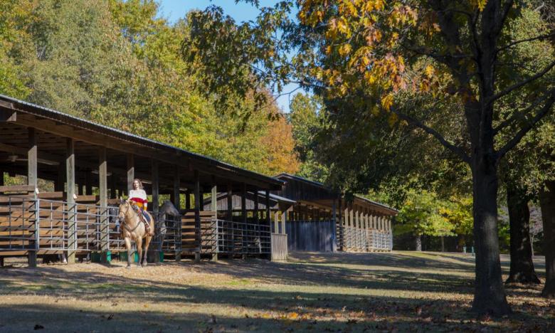 Horse Camp at Village Creek State Park